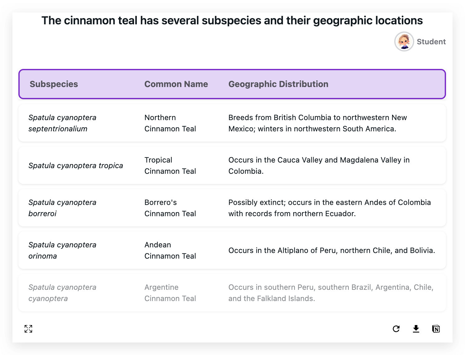 visual, multiple visuals, mind maps, timelines